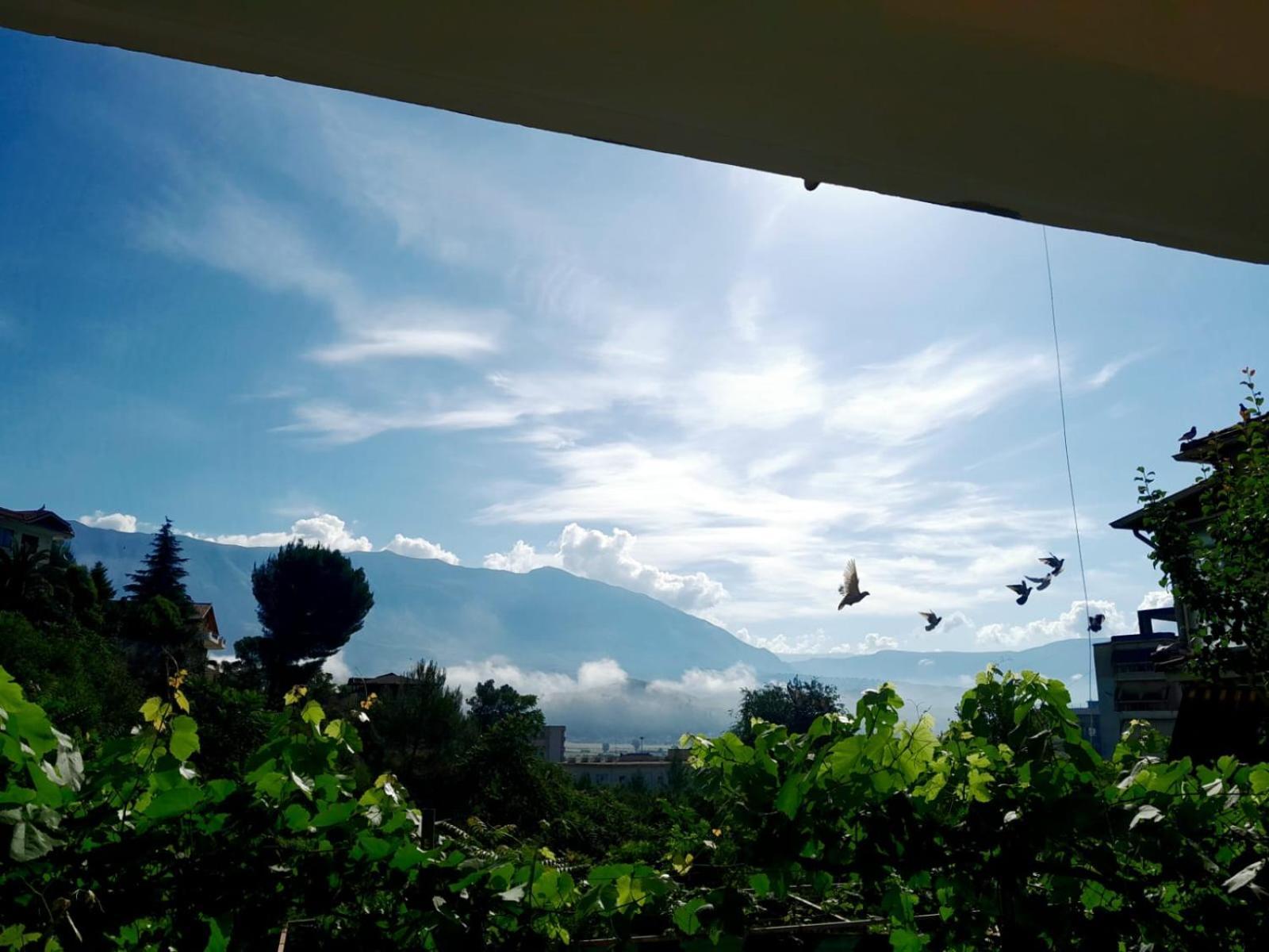 Apartmán George 1 Gjirokastër Exteriér fotografie
